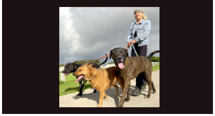 dogwalking2